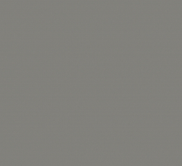 Спортивное покрытие Tarkett OMNISPORTS R35 GREY